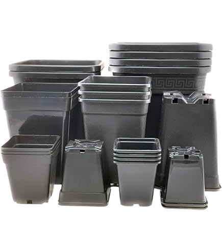 Pflanzentoepfe_matomato