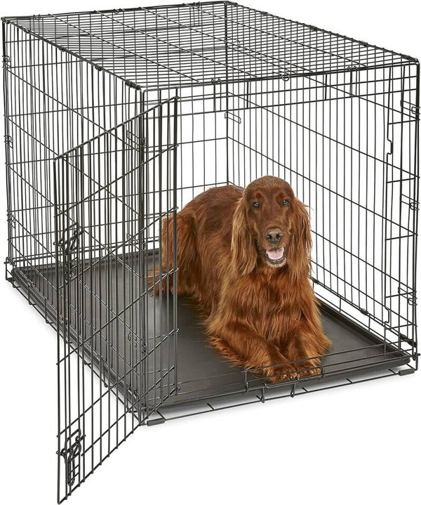 Dog Cage - 02