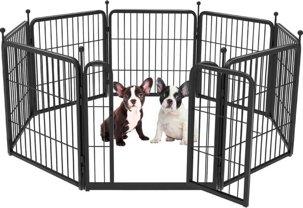 Dog Cage - 08