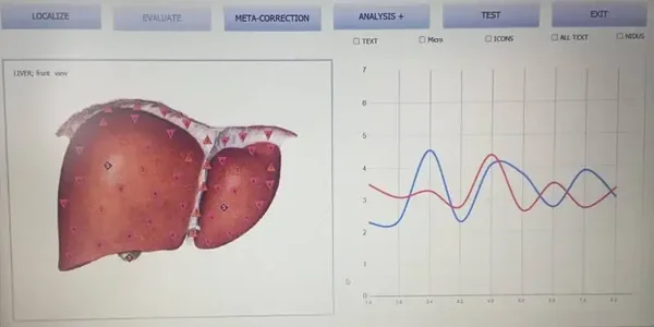 Additional healing package 20 sessions  2 organ systems