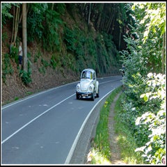 ak4a8817-standard.jpg