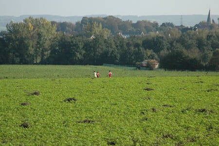 2007-10-13_stratenloop_tiegem_foto06-standard.jpg