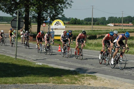 2008-05-12_duatlon_elsegem_foto11-standard.jpg
