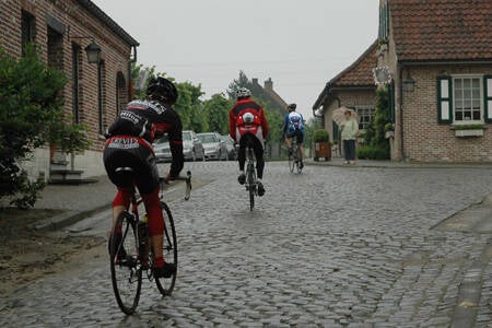 2008-06-07_reuzen-van-vlaanderen_foto03-standard.jpg