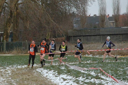 2012-02-05_pk-veldlopen_tielt_foto06-standard.jpg
