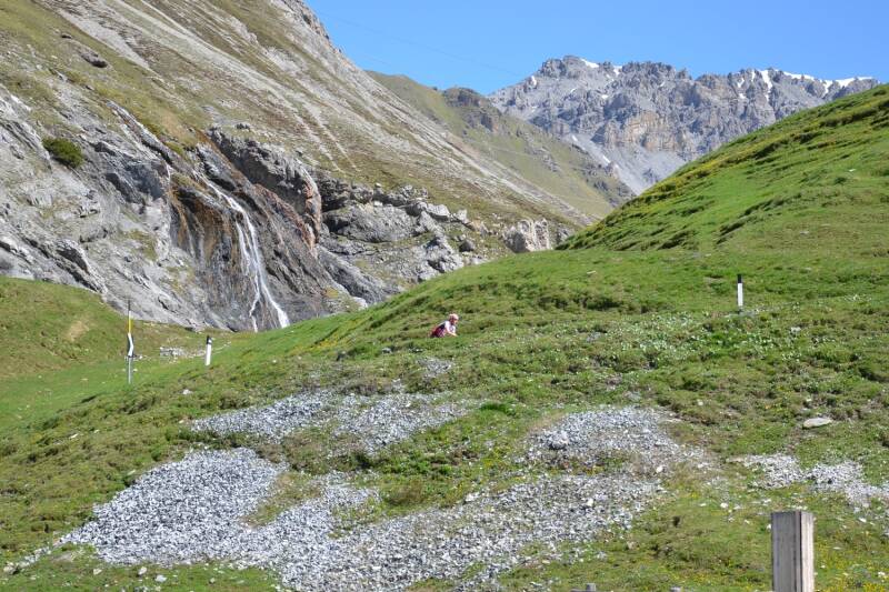 2014-06-14_stelvio_13-standard.jpg