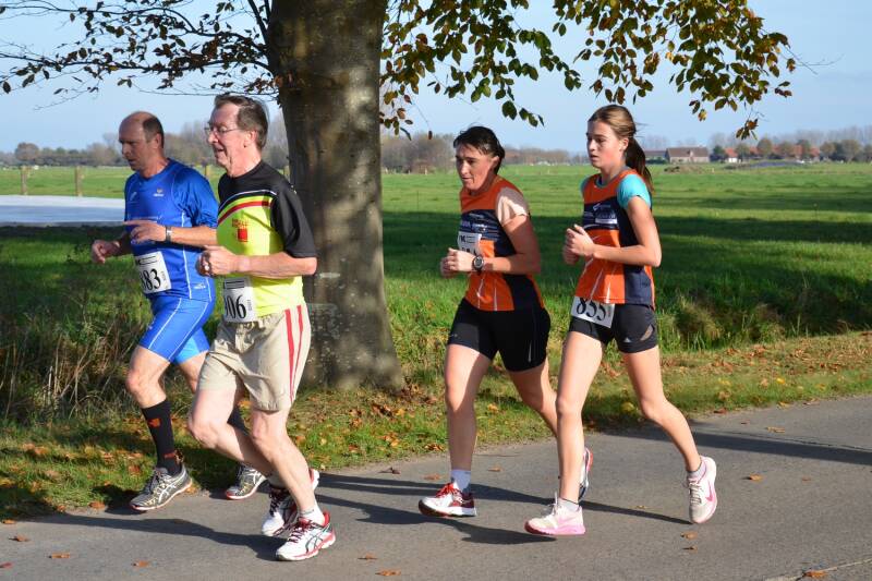 2014-11-11_stratenloop_bellem_19-standard.jpg