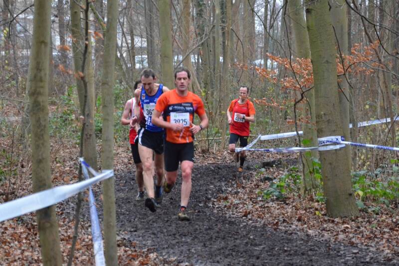 2016-01-03_veldloop_grimbergen_20-standard.jpg