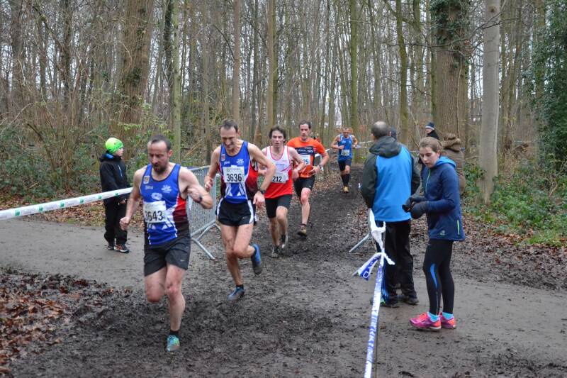 2016-01-03_veldloop_grimbergen_24-standard.jpg