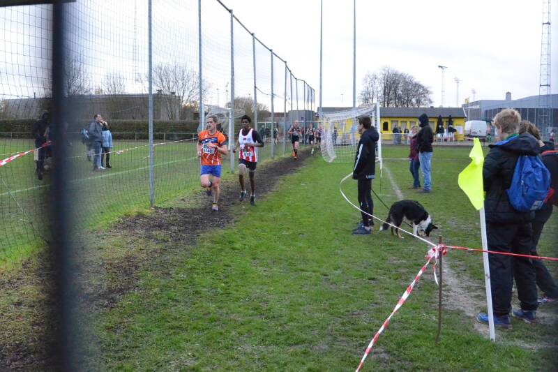 2018-12-02_veldloop_oudenaarde_14-standard.jpg