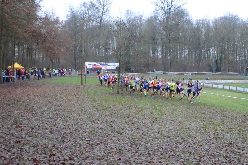 2019-01-06_veldloop_grimbergen_02-standard.jpg
