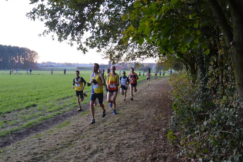 2019-11-10_veldloop_aalter_06-standard.jpg