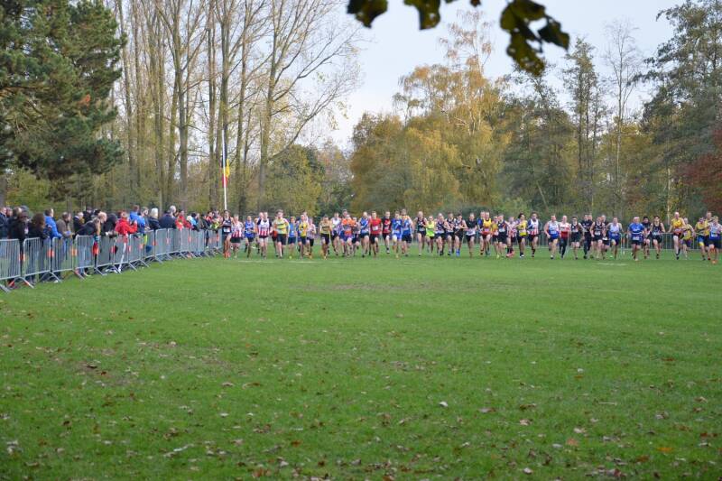 2019-11-17_veldloop_deinze_01-standard.jpg