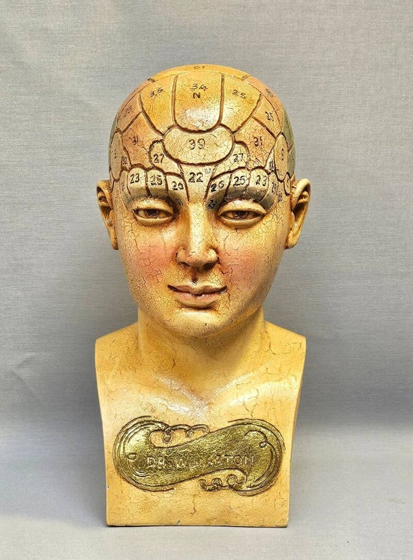 Antiekstijl "Dr. Willarton" Frenologie Buste