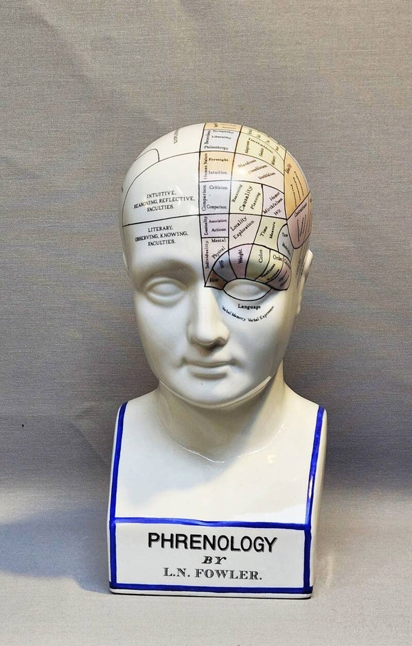 Grote vintage Porseleinen Frenologie Buste – L.N. Fowler – Authentic Models