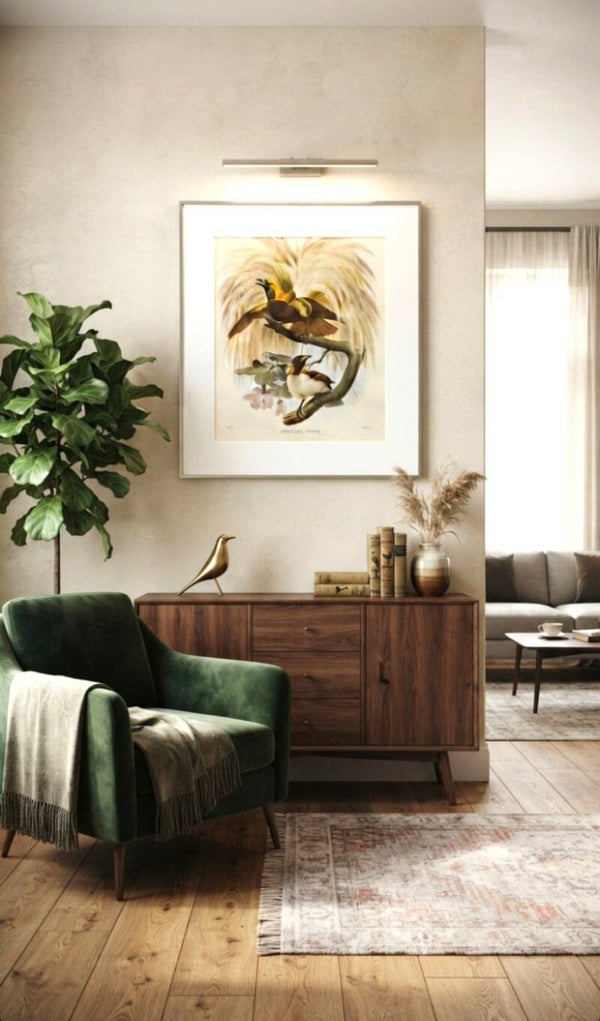 Grote ingelijste prent "Paradisaea Minor" naar Daniel Giraud Elliot (73 x 65 cm)
