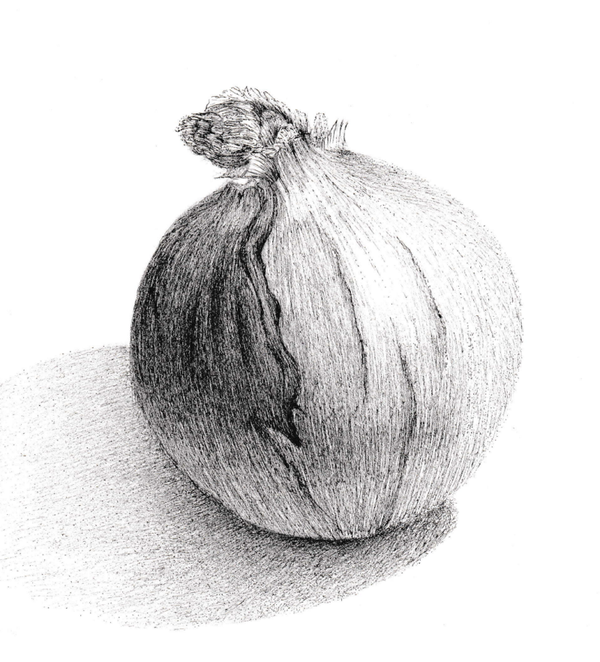 Onion