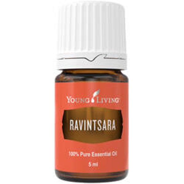 Ravintsara (Kamfer) (5 ml)