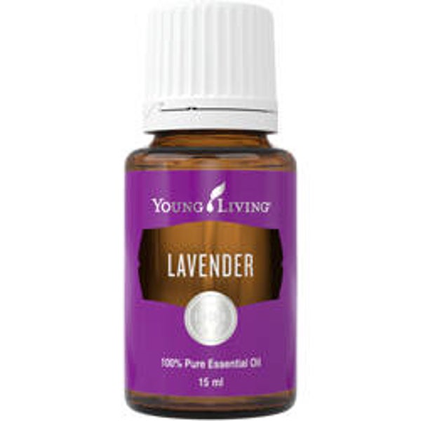 Lavender (5 - 15 ml)