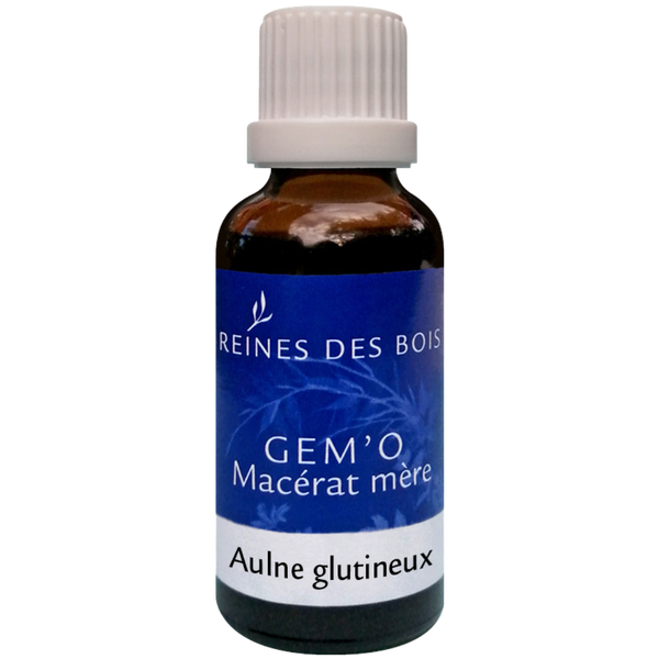 Aulne glutineux - Gemmo
