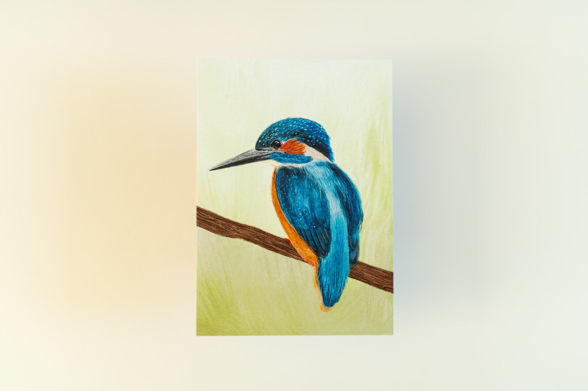 Kaart 'Ijsvogel'