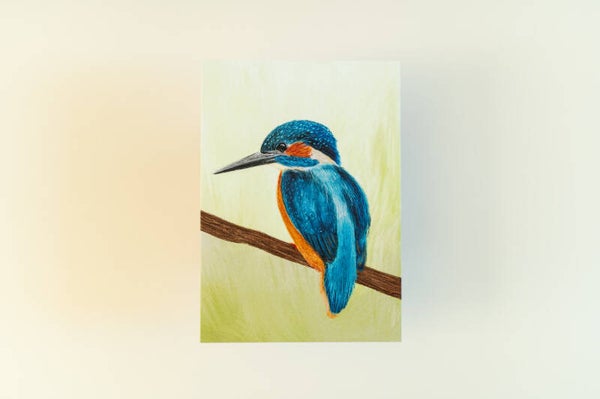 Kaart 'Ijsvogel'