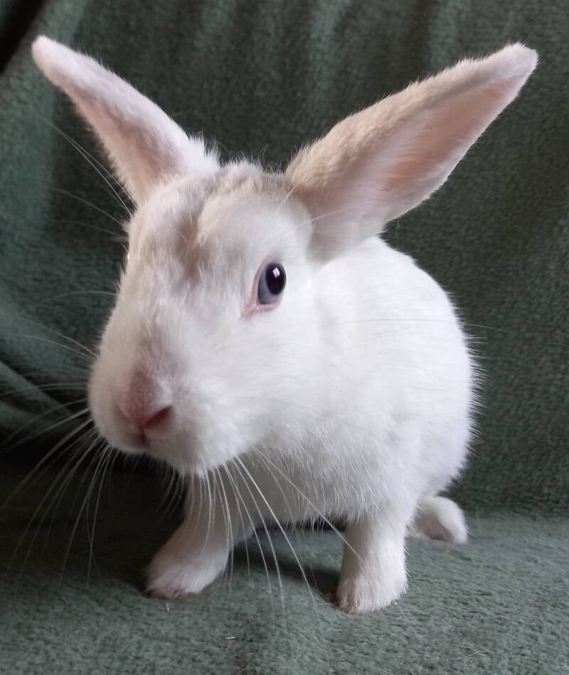 l Yuki l geboren 23 februari 2025