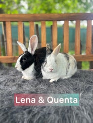 Beiden ongeveer 1 jaar oud 