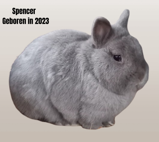 spencer-geboren-in-2023-standard.png