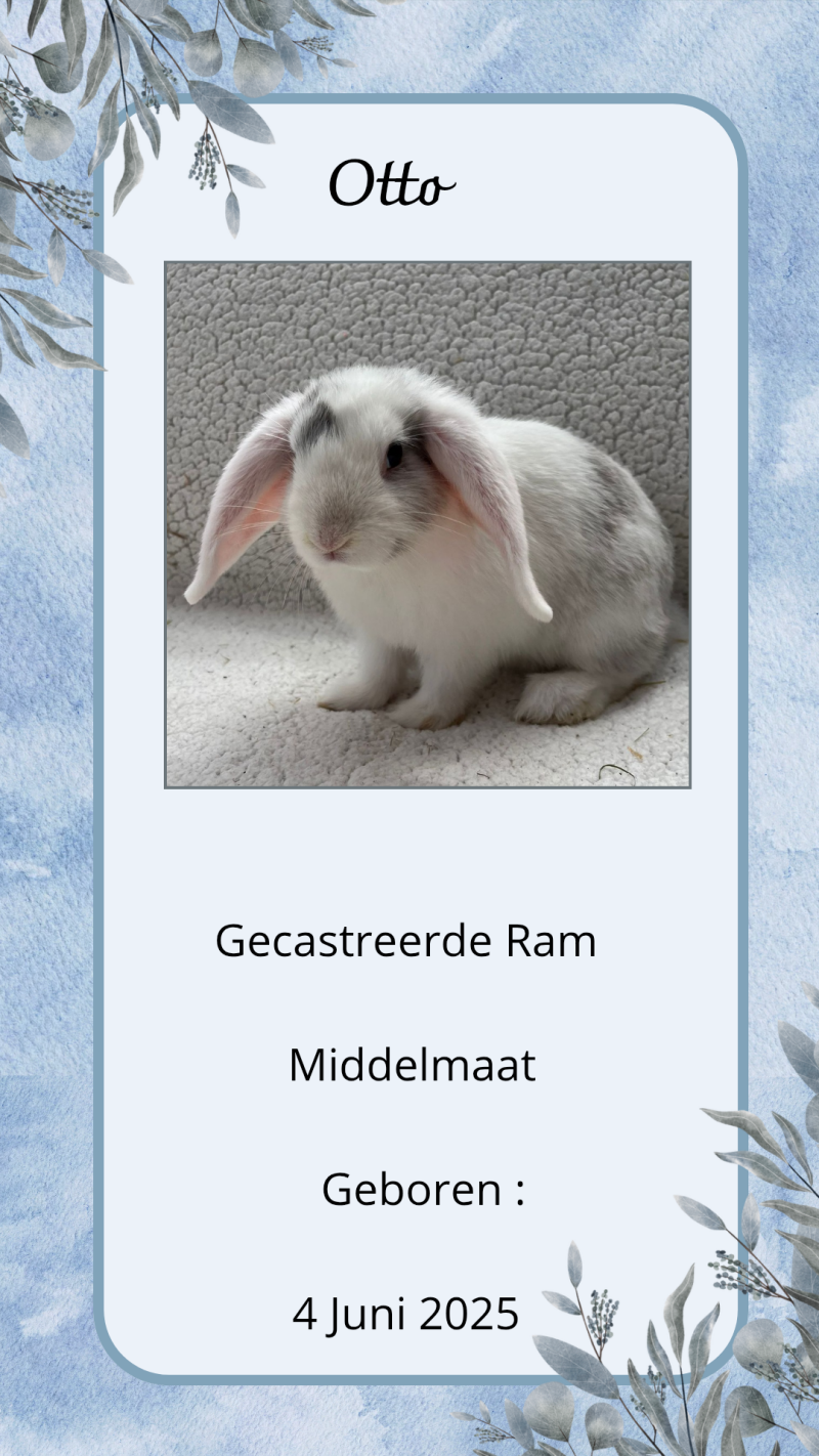 wit-blauw-eenvoudig-minimalistisch-achtergrond-jouw-verhaal-_20251010_161909_0000-standard.png