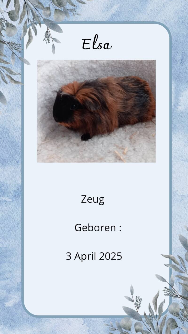wit-blauw-eenvoudig-minimalistisch-achtergrond-jouw-verhaal-_20251027_172703_0000-standard.jpg
