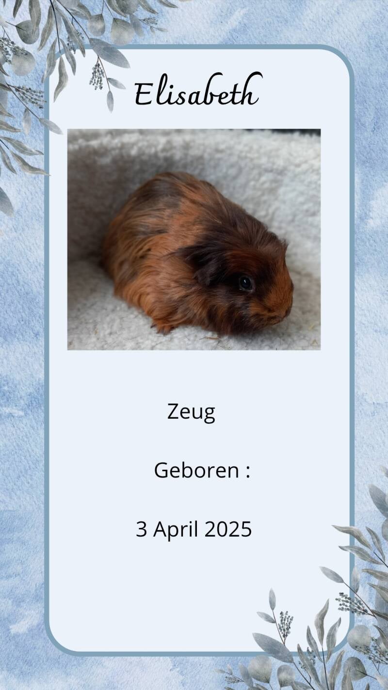 wit-blauw-eenvoudig-minimalistisch-achtergrond-jouw-verhaal-_20251027_172945_0000-standard.jpg