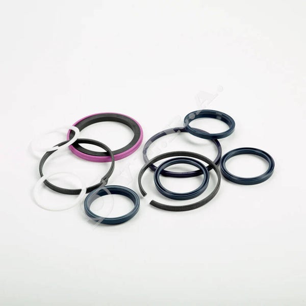 Kit guarnizioni per JCB 448/17205