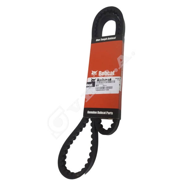 Cinghia per Bobcat 6660345