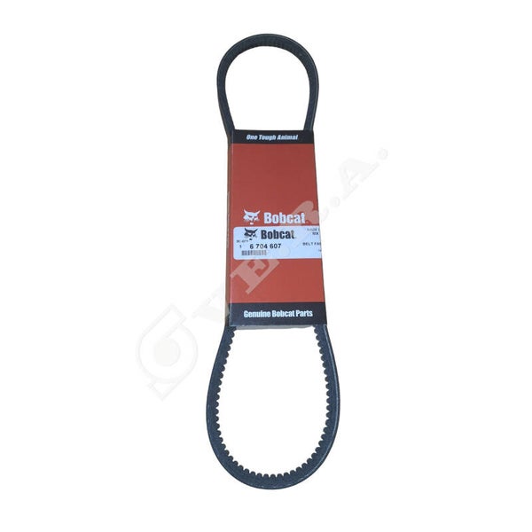 Cinghia per Bobcat 6704607