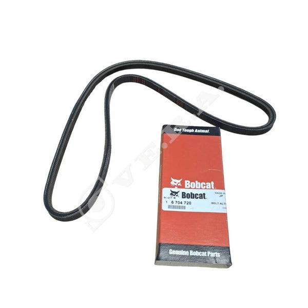 Cinghia per Bobcat 6704720