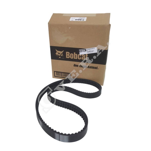 Cinghia per Bobcat 6736775