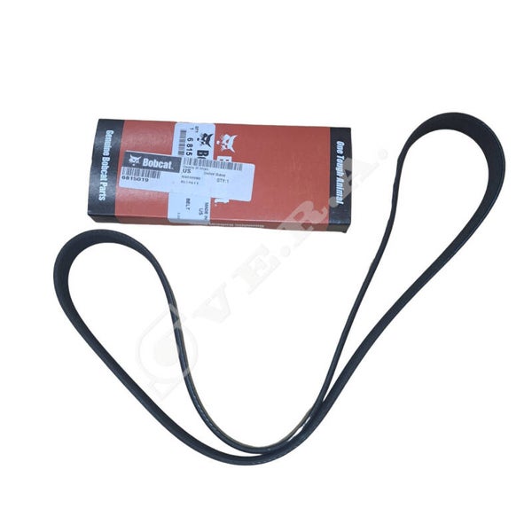 Cinghia per Bobcat 6815019