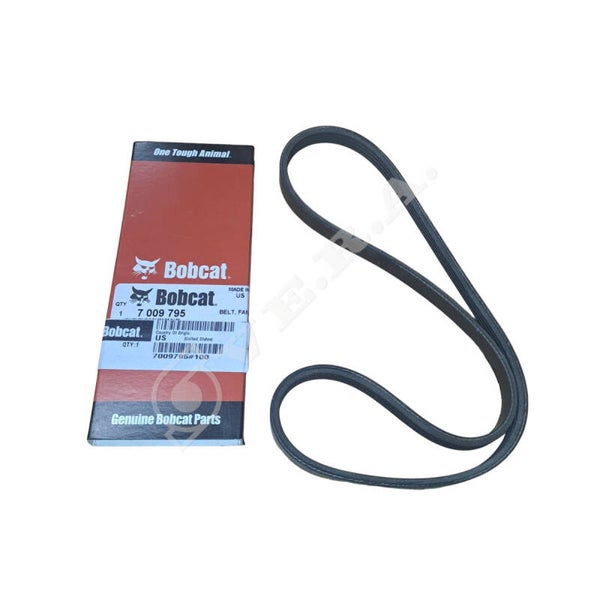 Cinghia per Bobcat 7009795