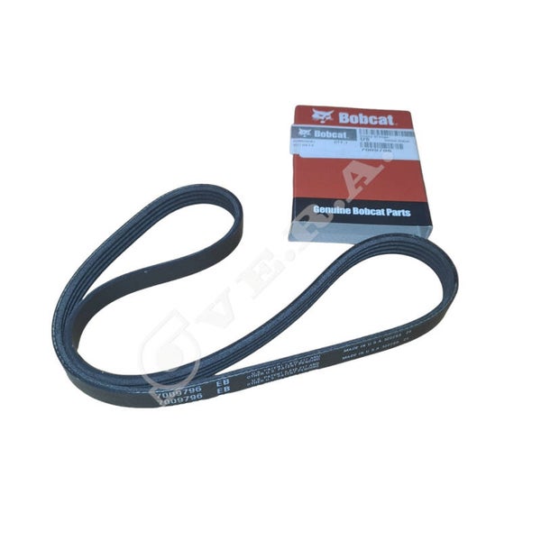 Cinghia per Bobcat 7009796
