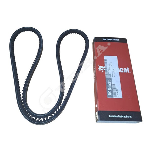 Cinghia per Bobcat 7100104