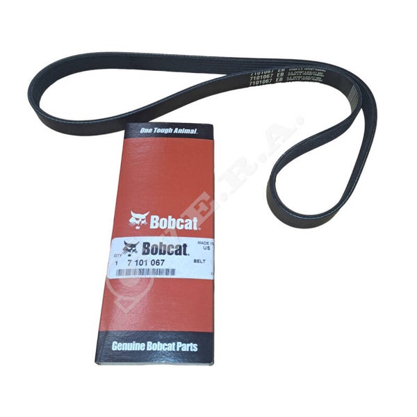 Cinghia per Bobcat 7101067
