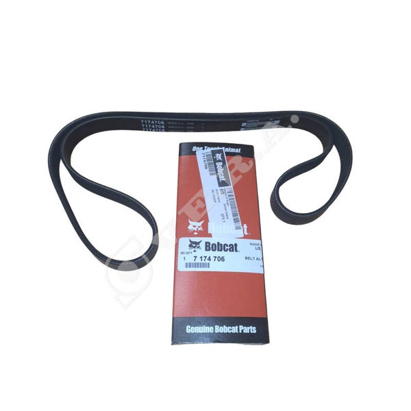 Cinghia per Bobcat 7174706