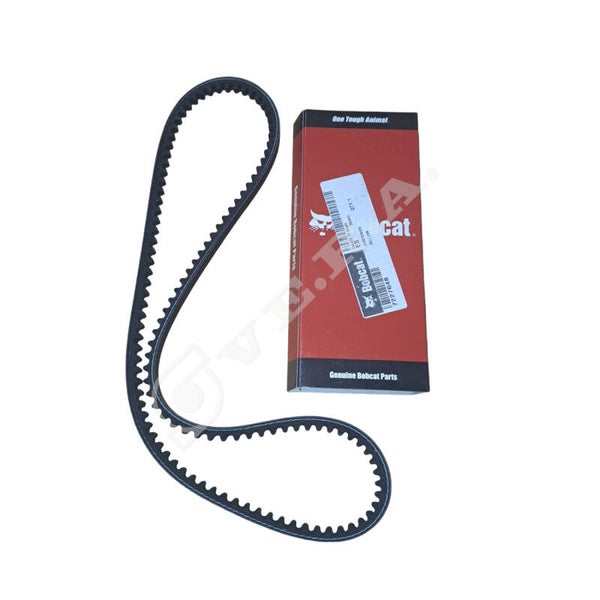 Cinghia per Bobcat 7227648