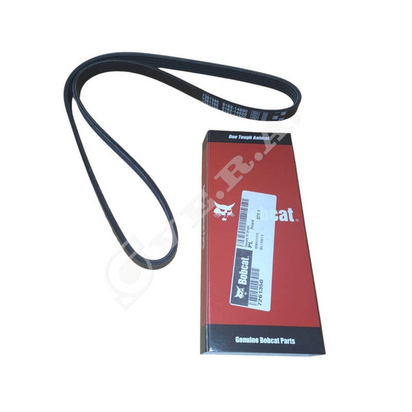Cinghia per Bobcat 7261350