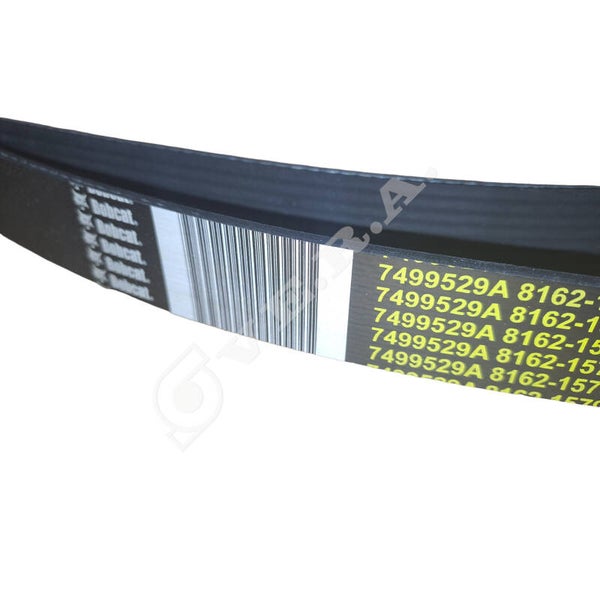 Cinghia per Bobcat 7499529