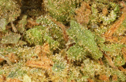 Strawberry CBD