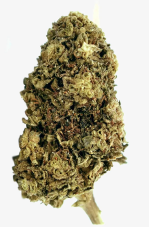 Northern Lights CBD