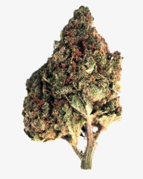 Blue Dream CBD
