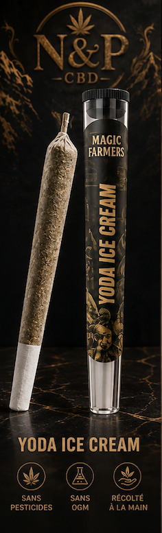 PREROLL YODA ICE CREAM MAGIC SAUCE